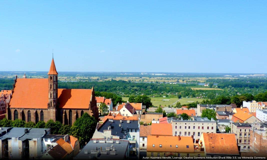 VIII Bieg Niepodległości w Chełmnie – szczegóły wydarzenia